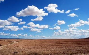raw land development